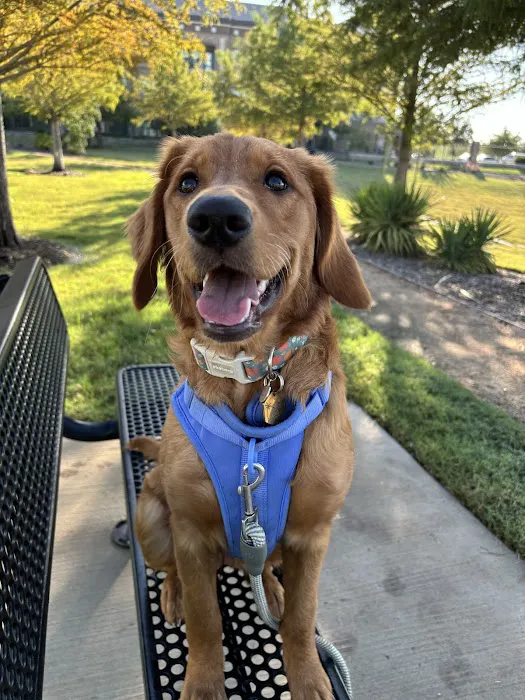 Frisco Pet Hospital Picture 1