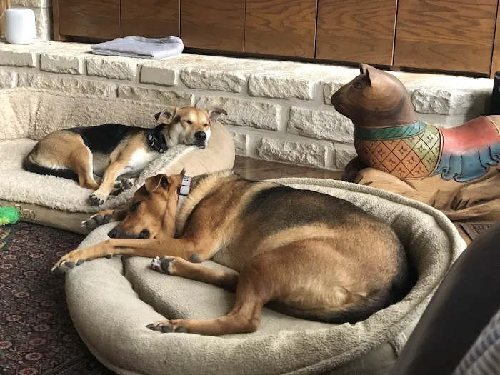 Frisco Pet Hospital Picture 2