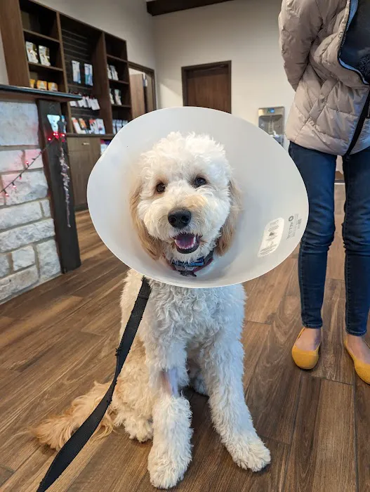 Frisco Pet Hospital Picture 6