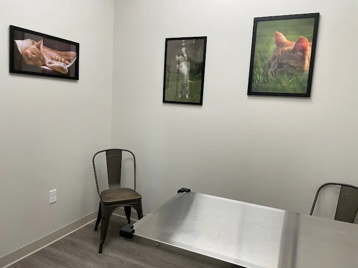 Hometown Animal Hospital Picture 1