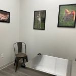 Hometown Animal Hospital