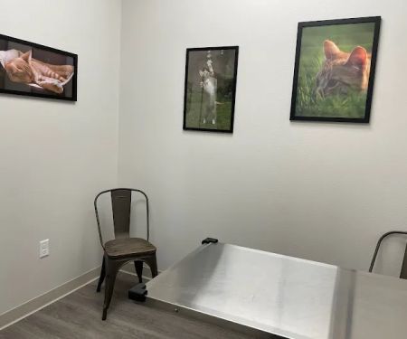 Hometown Animal Hospital