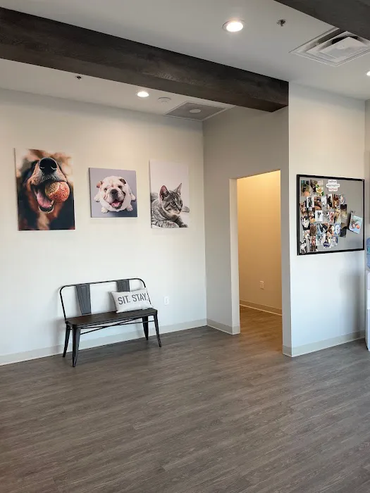 Hometown Animal Hospital Picture 3