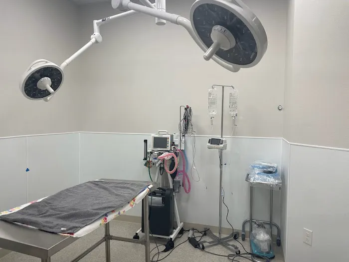 Hometown Animal Hospital Picture 8