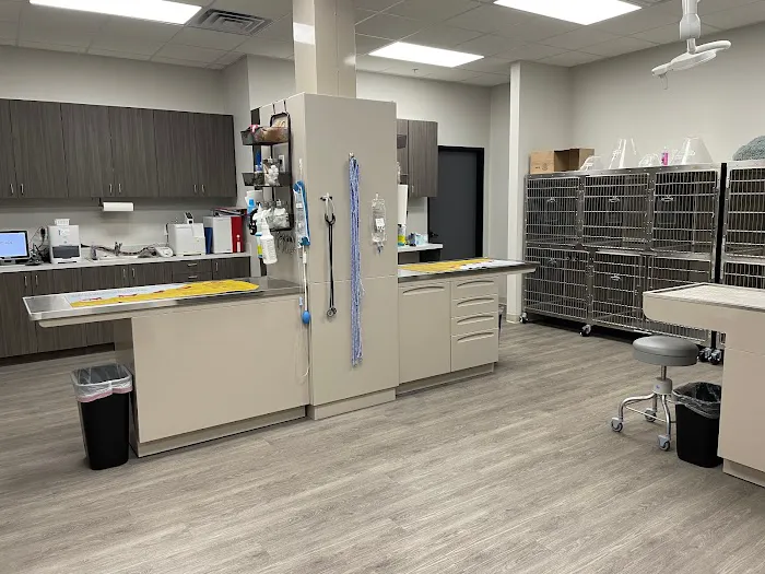 Hometown Animal Hospital Picture 6