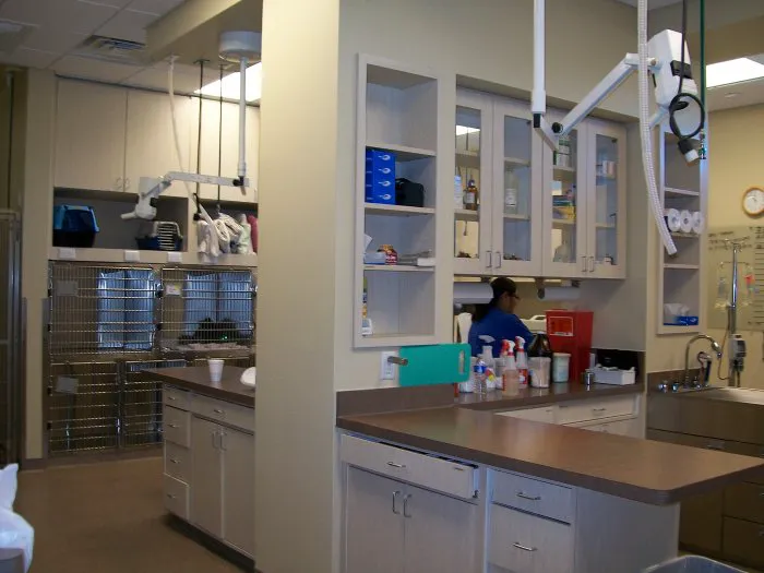 VCA Mercedes Place Animal Hospital Picture 1