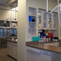 VCA Mercedes Place Animal Hospital ico