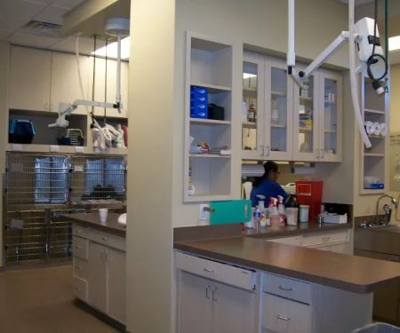 VCA Mercedes Place Animal Hospital