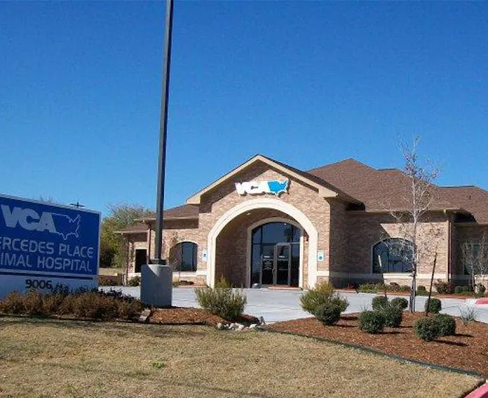 VCA Mercedes Place Animal Hospital Picture 2