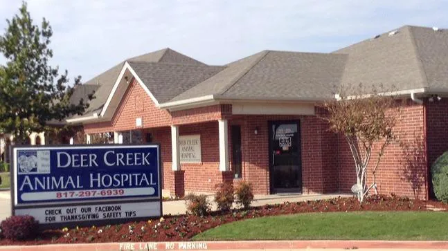VCA Deer Creek Animal Hospital Picture 1