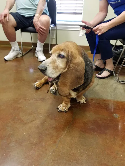 VCA Deer Creek Animal Hospital Picture 2