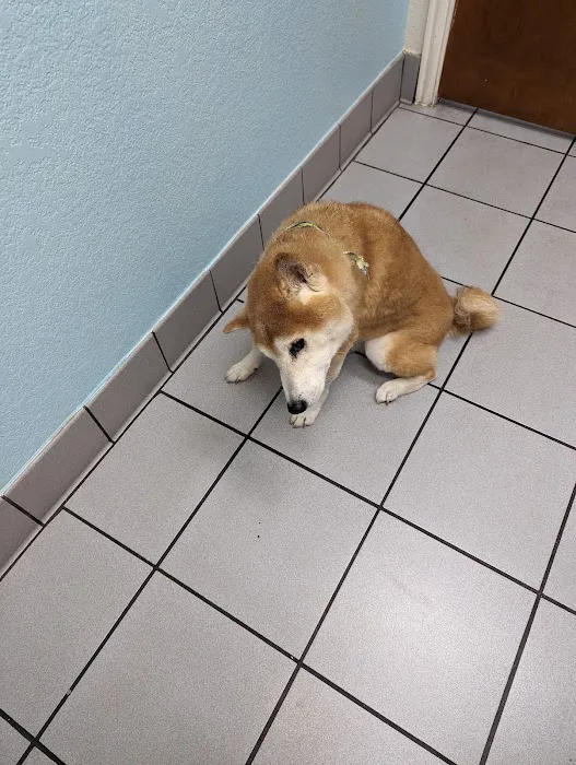 Banfield Pet Hospital Picture 1