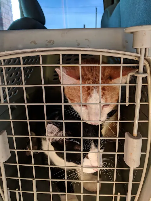 Banfield Pet Hospital Picture 4