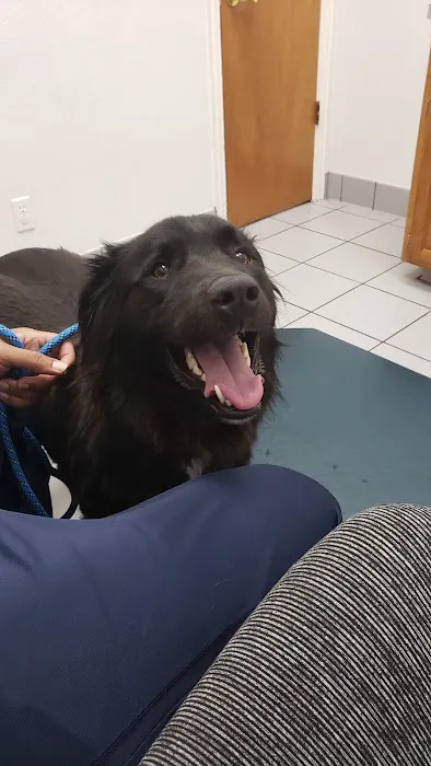 Banfield Pet Hospital Picture 8