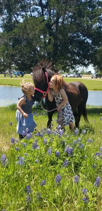 Burleson Equine Hospital Picture 1