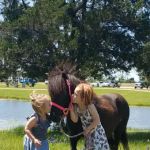 Burleson Equine Hospital