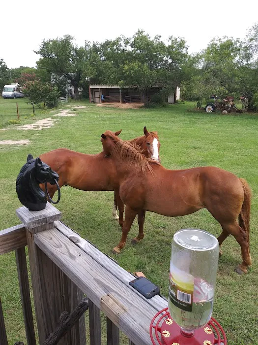 Burleson Equine Hospital Picture 3