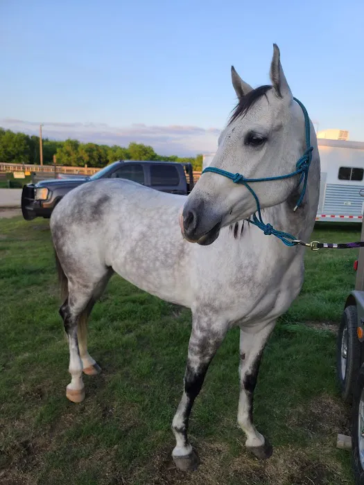 Burleson Equine Hospital Picture 4