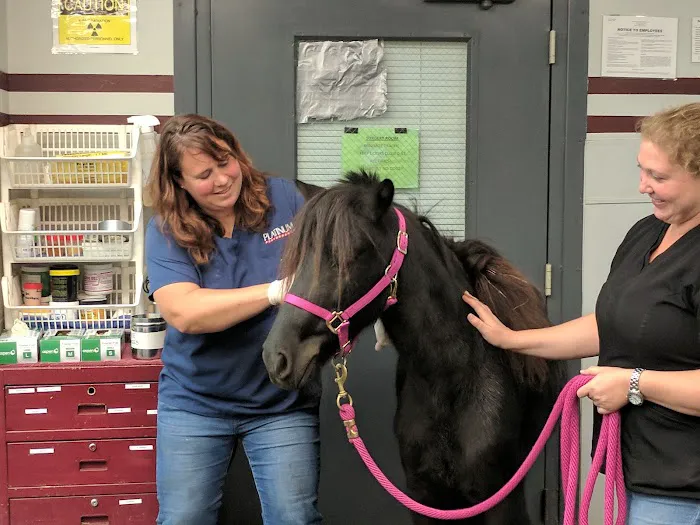 Burleson Equine Hospital Picture 5
