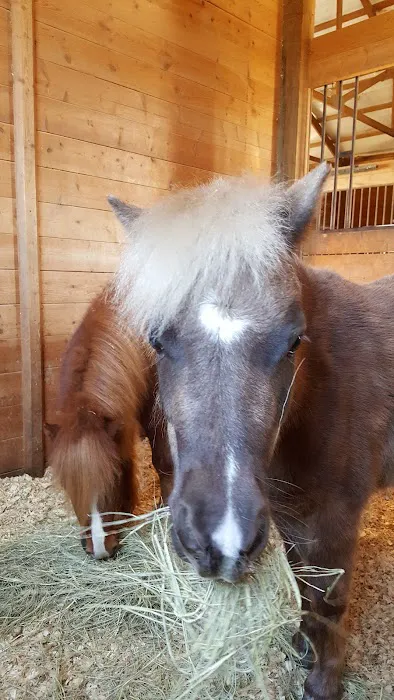 Burleson Equine Hospital Picture 9