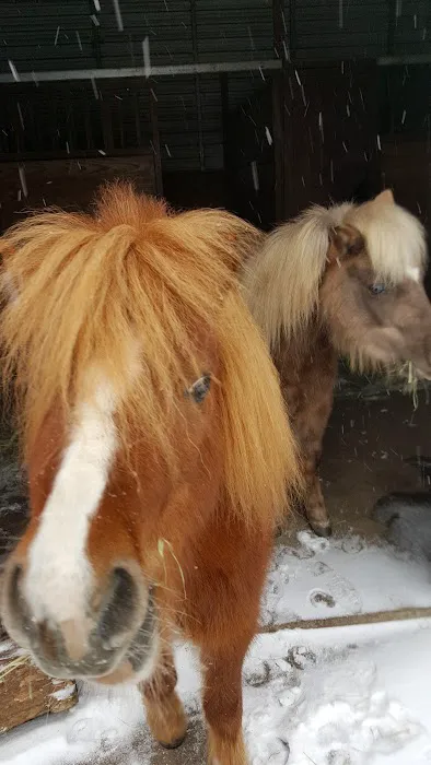 Burleson Equine Hospital Picture 8