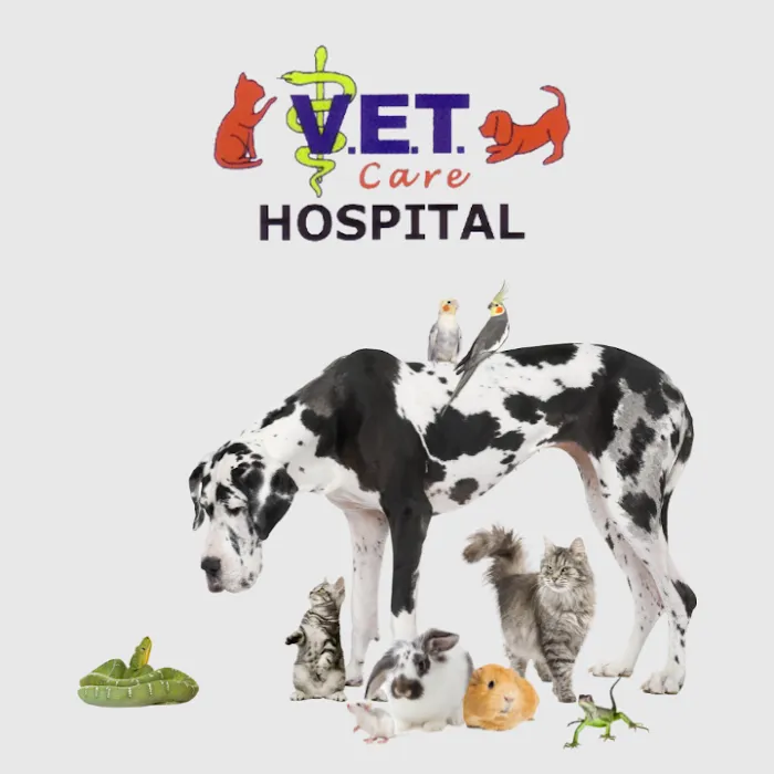V.E.T. Care Hospital Picture 3