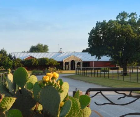 La Mesa Veterinary Associates
