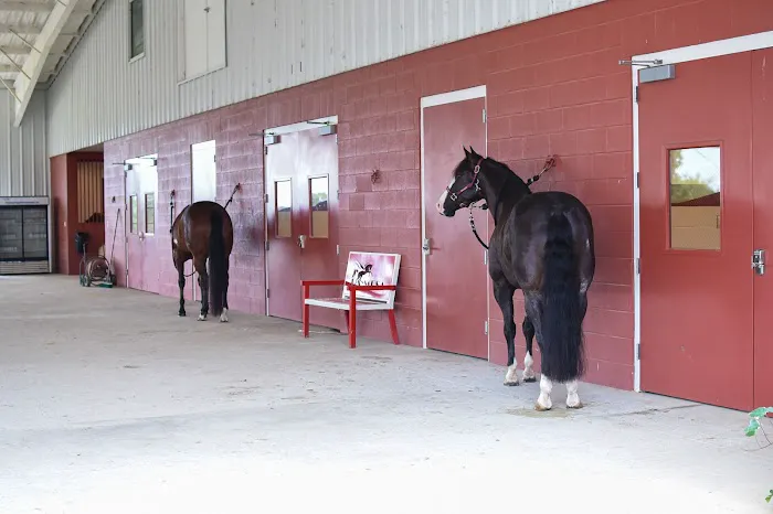 Equine Sports Medicine, LLC Picture 2