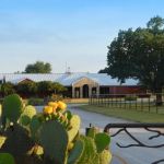 Equine Sports Medicine, LLC