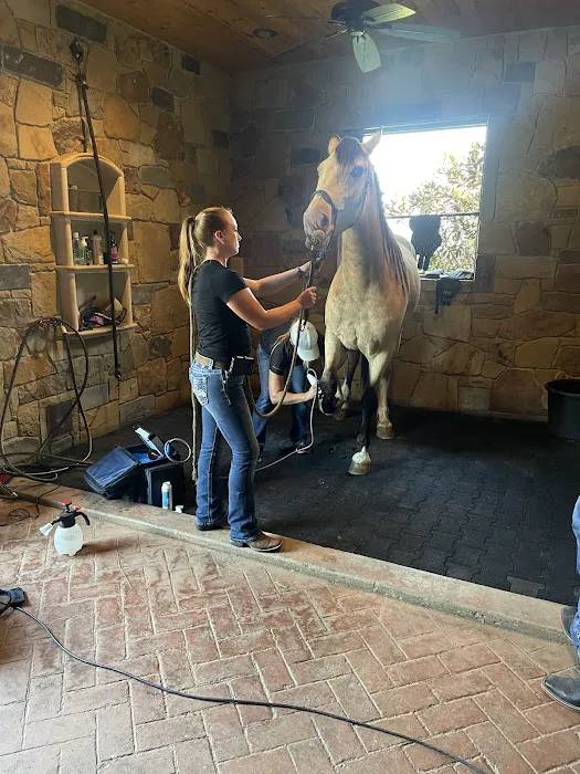 Equine Athlete Veterinary Services Picture 1