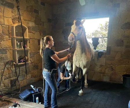 Equine Athlete Veterinary Services
