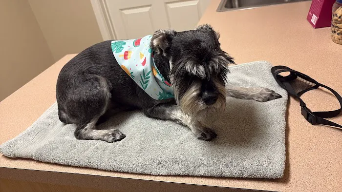 Aubrey Animal Medical Center Picture 1