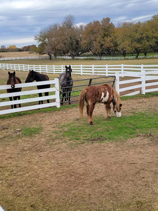 Gursky Veterinary Services Picture 1