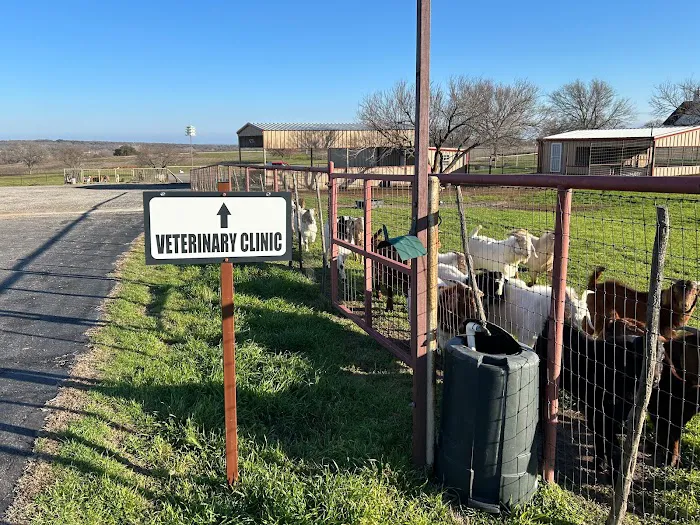 Gursky Veterinary Services Picture 8