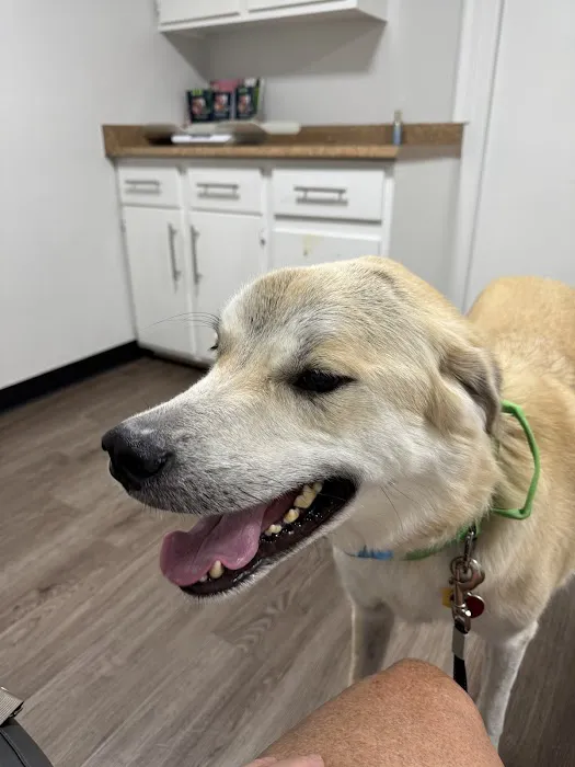 Trinity Veterinary Medical Center Picture 1