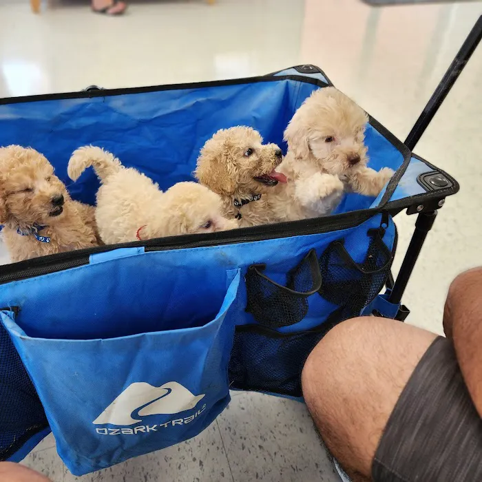 Boyd Animal Hospital Picture 7