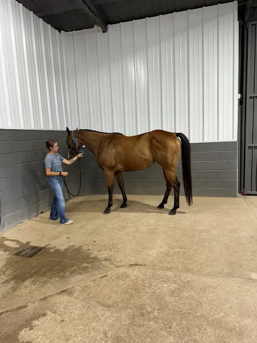 Cutting Edge Equine Hospital Picture 1
