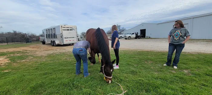 Cutting Edge Equine Hospital Picture 3