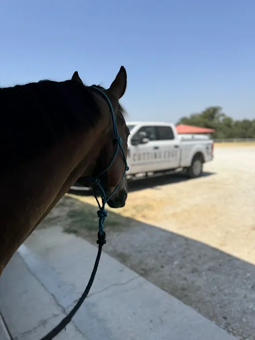 Cutting Edge Equine Hospital Picture 2