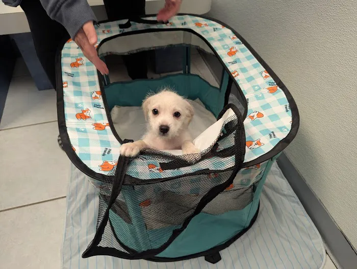 Alma Animal Hospital Picture 4