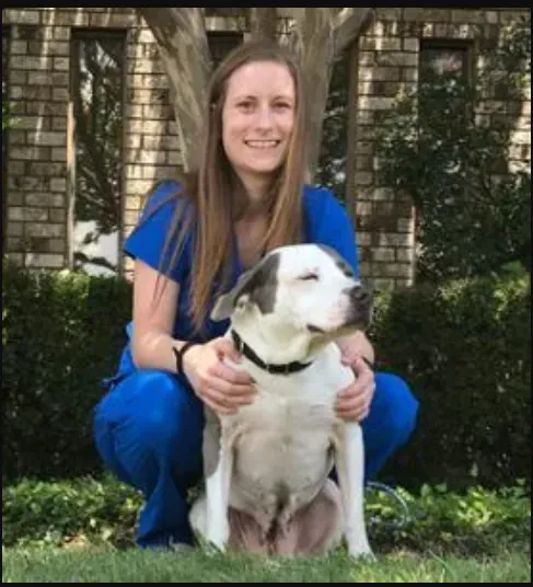 Animal Hospital of Collin County Picture 4