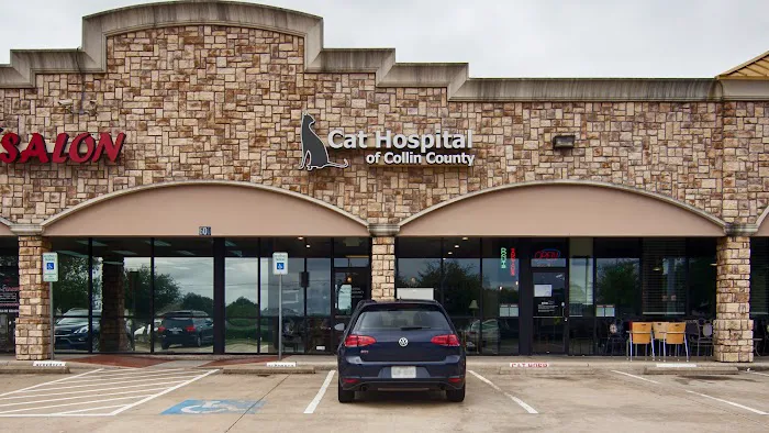 Cat Hospital of Collin County Picture 1