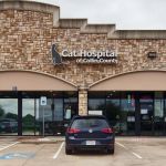 Cat Hospital of Collin County