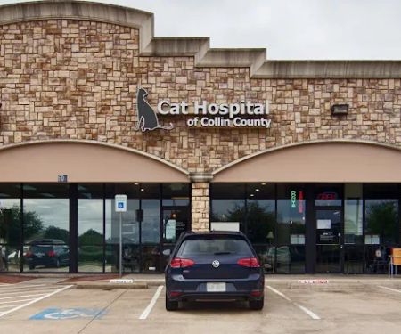 Cat Hospital of Collin County