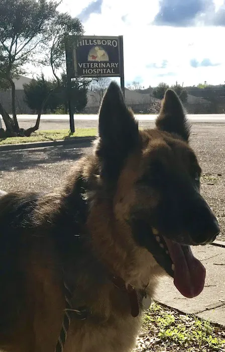 Hillsboro Veterinary Hospital Picture 3