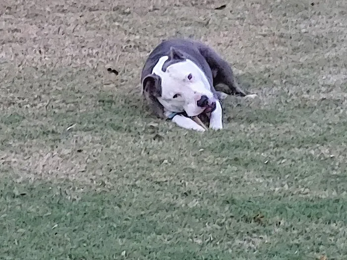 Young's Animal Hospital Picture 9