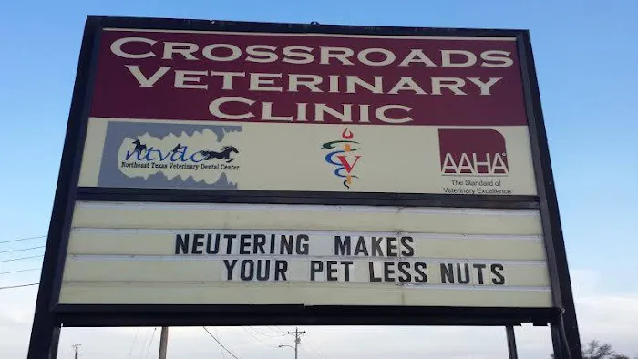 Crossroads Veterinary Clinic Picture 3