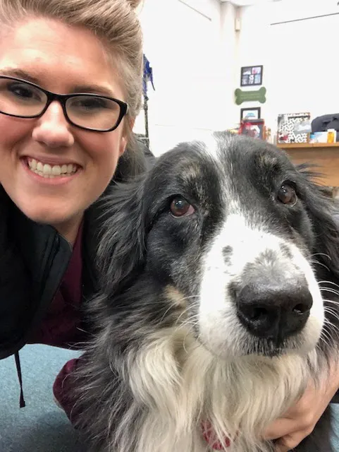 Crossroads Veterinary Clinic Picture 4