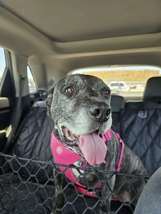 Crossroads Veterinary Clinic Picture 10