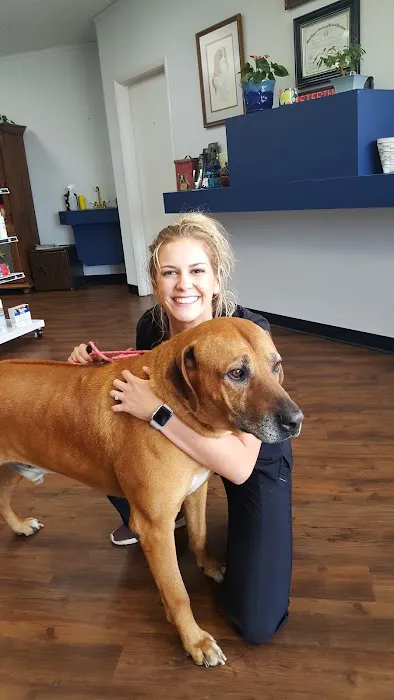 Diamond L Veterinary Services Picture 3